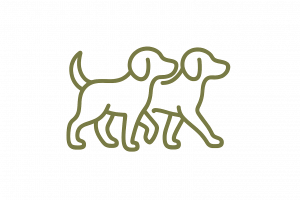 Dependiendo de la cantidad de perros y el tamaño el descuento puede variar, a más perros, MÁS DESCUENTO