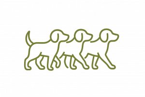 Dependiendo de la cantidad de perros y el tamaño el descuento puede variar, a más perros, MÁS DESCUENTO